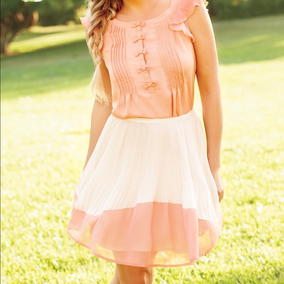 Lauren Conrad chiffon pleated coral tan skirt - Picture 3 of 6